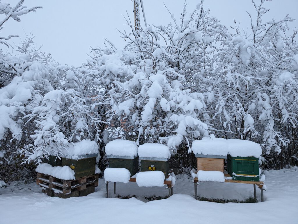 Bienenstöcke im Schnee