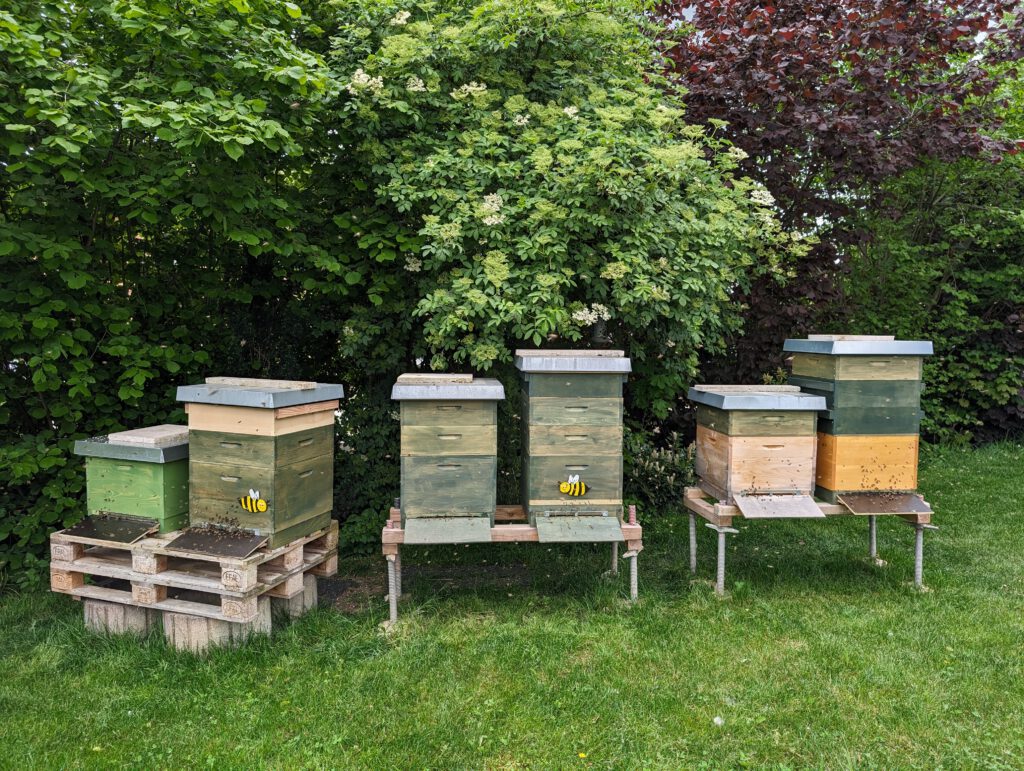 Bienenstöcke